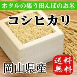 ほたるの集う田んぼのお米　岡山県産コシヒカリ（玄米）5kg   送料無料(一部地域を除く)