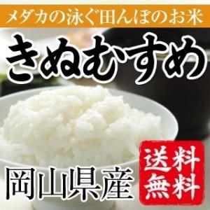 めだかの泳ぐ田んぼのお米　岡山県産きぬむすめ（玄米）10kg(5kg×2袋） 送料無料(一部地域を除く）｜okayamaumaimono