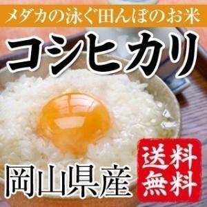 令和5年産 めだかの泳ぐ田んぼのお米 　岡山県産コシヒカリ（白米）20kg(5kg×4袋） 送料無料(一部地域を除く)｜okayamaumaimono