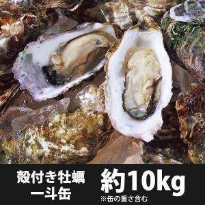 牡蠣（かき）岡山虫明産 殻付き 約100粒 約10kg (ID-10)