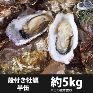 牡蠣（かき）岡山虫明産 殻付き 約40粒 約5kg (ID-11)