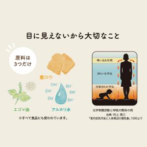 蜜ロウ ミストデワックス 250mlの詳細画像4