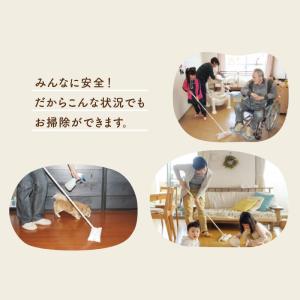 蜜ロウ ミストデワックス 250mlの詳細画像5