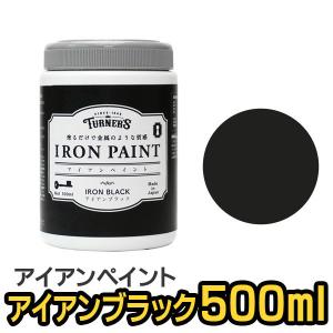 ターナー ターナー色彩 アイアンペイント アンティークシルバー 200ml