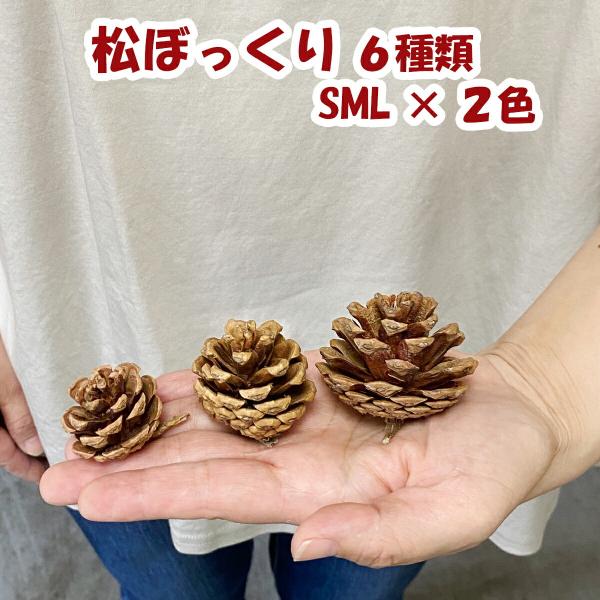 水引 材料 松ぼっくり  パーツ 素材 ハンドメイド アレンジ 手作り 正月飾り しめ飾り しめ縄 ...