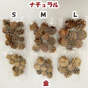 水引 材料 松ぼっくり パーツ 素材 ハンドメ...の詳細画像2