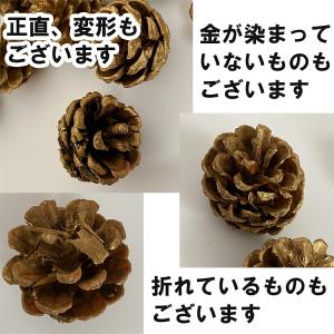 水引 材料 松ぼっくり パーツ 素材 ハンドメ...の詳細画像5