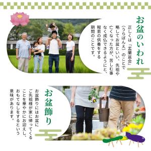 お盆 お供え物 お盆飾り セット ミニ 【盆ご...の詳細画像2