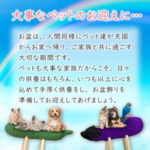 秀〆 お盆 お供え お盆飾り ペット ちりめん...の詳細画像4