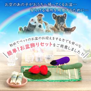 秀〆 お盆 お供え お盆飾り ペット ちりめん...の詳細画像5