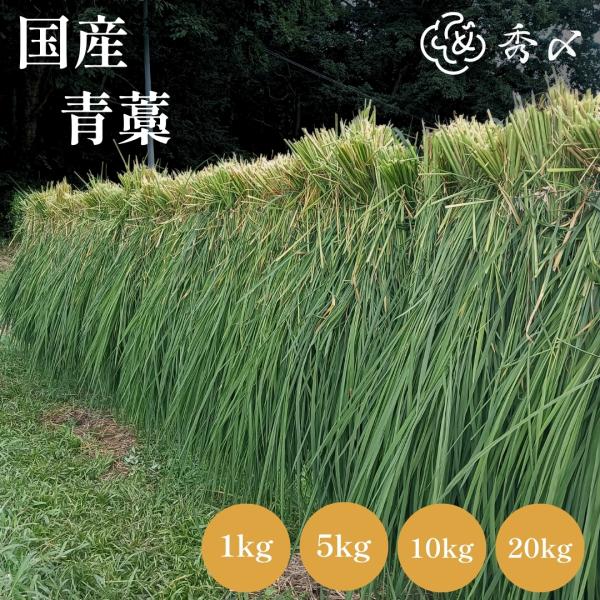 秀〆 正月飾り 材料 青藁 青わら 国産 10kg 大容量 お徳用 藁 わら 稲わら 長藁 長わら ...