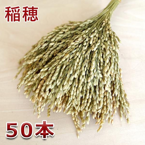 稲穂 5本入り×10セット 爆買