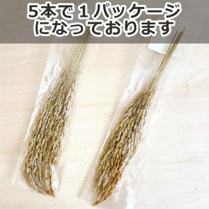 稲穂 5本入り×10セット 爆買の詳細画像2