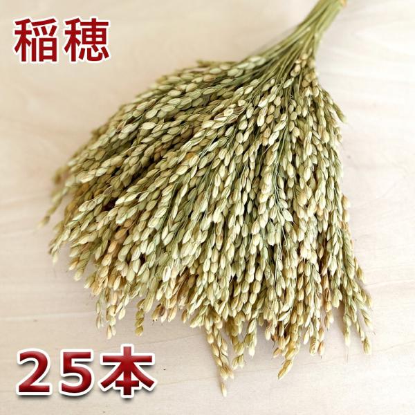 稲穂 5本入り×5セット 爆買