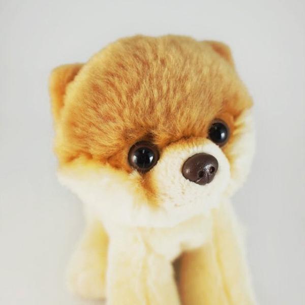 【GUND】Boo ちび太,Sサイズ,Boo,ぬいぐるみ,ポメラニアン,犬,ドッグ,人形,ネットショ...
