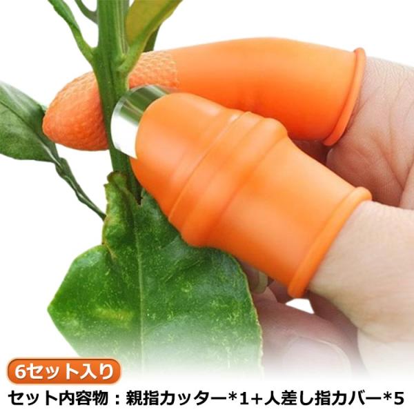 ガーデン用 親指カッター 6セット入り 果物収穫カッター 親指ナイフ 園芸用 収穫カッター 野菜収穫...