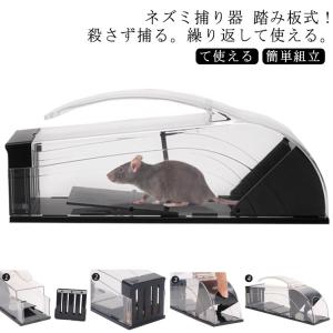 ネズミ捕り器 踏み板式 ねずみとり ネズミ捕り器...の商品画像