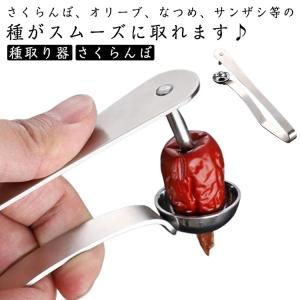 オリーブ なつめ 製菓用品 さくらんぼ 種取り用 種取り器 チェリー タネ抜き タネ取り ステンレス 道具 道具 芯抜き器 握るだけで種がキレイに取れ｜okfcd