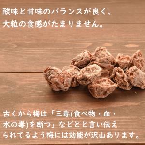 ドライフルーツ 干し梅 種あり 800g 大粒...の詳細画像2