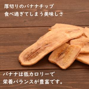 ドライフルーツ バナナチップ ロングトースト ...の詳細画像3