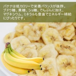 ドライフルーツ バナナチップ ロングトースト ...の詳細画像4