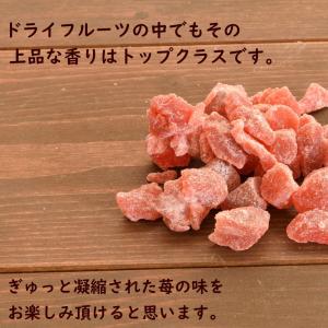 ドライフルーツ ストロベリー ダイスカット 1...の詳細画像3