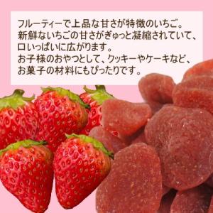 ドライフルーツ ストロベリー ダイスカット 1...の詳細画像4