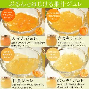 フルーツポンチ ギフトの商品一覧 通販 Yahoo ショッピング