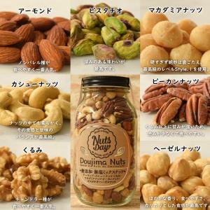 ギフト テレビで話題 堂島ナッツ&ジャイアント...の詳細画像3