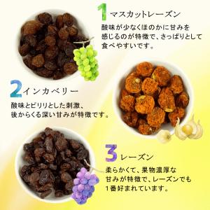 ドライフルーツ ノンオイル ミックス 送料無料...の詳細画像4