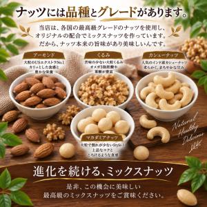 ミックスナッツ 無塩 4種 プレミアム ミック...の詳細画像4