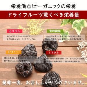 ドライフルーツ 有機 プルーン 1kg オーガ...の詳細画像3
