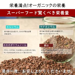カカオニブ 有機JAS 100g 有機 オーガ...の詳細画像3