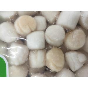 イタヤ貝 貝柱 小柱 250粒前後 900g ...の詳細画像3
