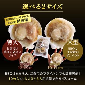 殻付きホタテ ほたて 北海道 冷凍 帆立 片貝...の詳細画像5