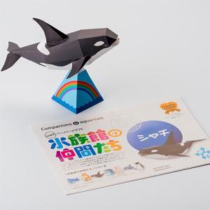 ペーパークラフト　水族館の仲間たち　シャチ｜oki-toku-y