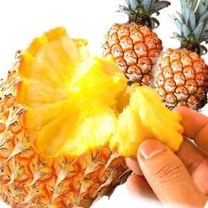 パイン  沖縄県産スナックパイン 1kg[1〜2個入]   ボゴールパイン