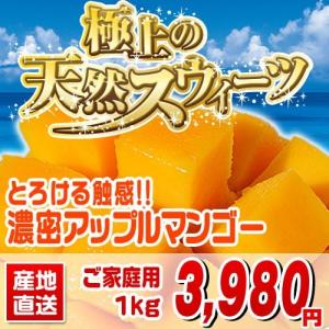 マンゴー 沖縄産 1kg送料無料訳ありじゃない沖縄のマンゴー...
