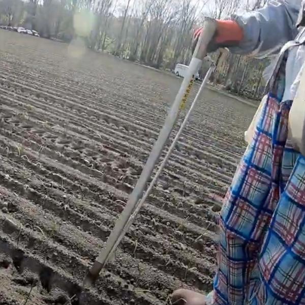 キュウホー 玉ねぎ補植機 アルミ製 1本 P047-B《メーカー直送》【送料無料】 玉ねぎ 玉葱 補...