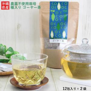 ゴーヤ茶 ゴーヤー茶 種入り 12包入り×2袋(計24包) ティーバッグ 沖縄産 農薬不使用 無農薬 ゴーヤ お茶 定形外