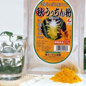 沖縄産秋ウコン粉末 秋うっちん粉 100g うっちん沖縄 定...