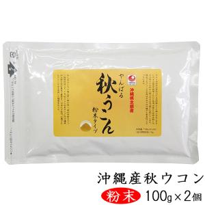 ターメリック やんばる 秋ウコン 粉末 100g×2個 ウコンパウダー