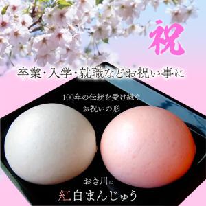 紅白饅頭 特小2ヶ入 (こし餡)の詳細画像3