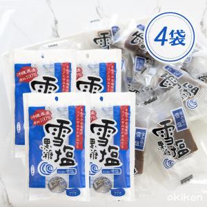 雪塩黒糖 120g×4袋セット 沖縄 黒糖 個包装 雪塩 お土産 ミネラル豊富 熱中症対策 送料無料 黒糖本舗垣乃花