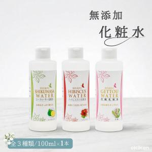 アクシージア エイジーセオリー モイスチャライジングローション 100ml