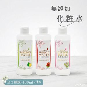 資生堂 ベネフィーク マルチコンディショニング ローション 145ml 送料