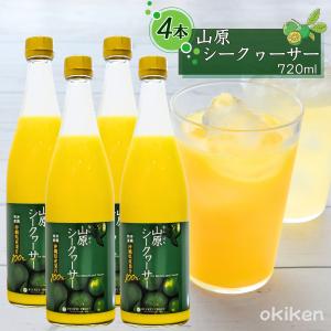 ぎゅっとシークワーサー 原液 500ml×6本セット シークヮーサー果汁100
