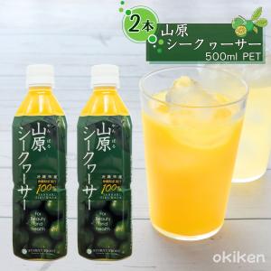 青切りシークワーサー100 500ml /沖縄産 シークワーサージュース 果汁