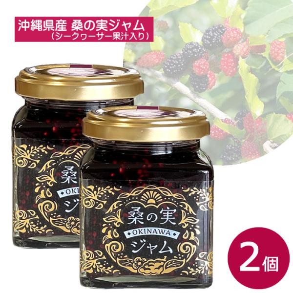沖縄県産 桑の実（シマグワ）使用 桑の実 ジャム 140g×2個 シークヮーサー果汁入り アントシア...