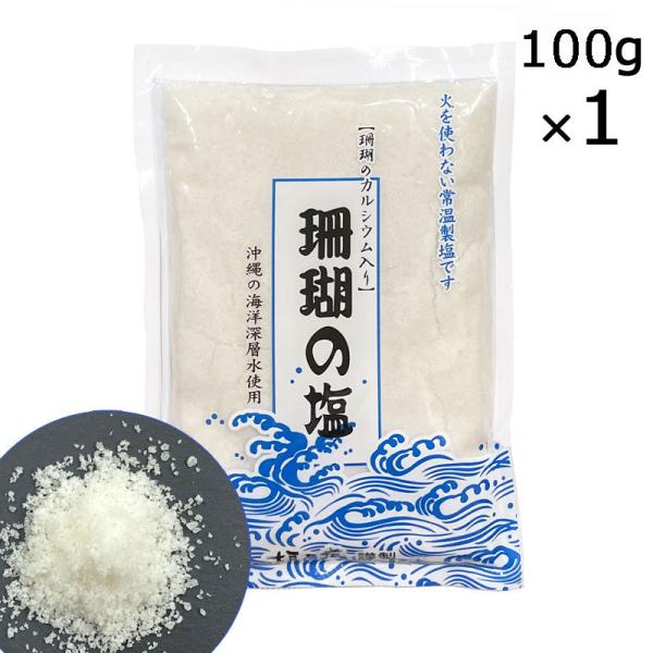珊瑚の塩 100g×1袋 サンゴカルシウム入り 天日塩 海洋深層水 沖縄 しお 塩 サンゴ 黒糖本舗...